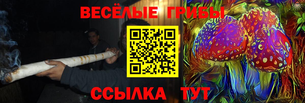 Учалы  Псилоцибиновые грибы Psilocybe  Вход с VPN 